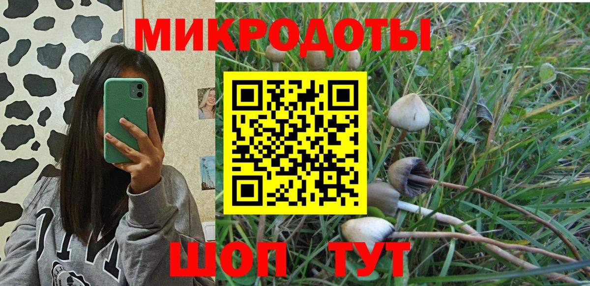 Галлюциногенные грибы мицелий Павлово