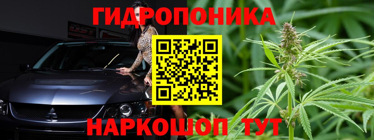 Канабис Bruce Banner  Шишки марихуана Amnesia  Конопля OG Kush  Бошки марихуана сатива  Вход с VPN  Павлово 